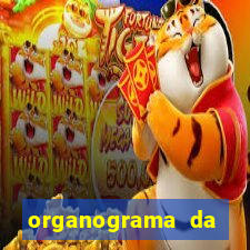 organograma da cacau show